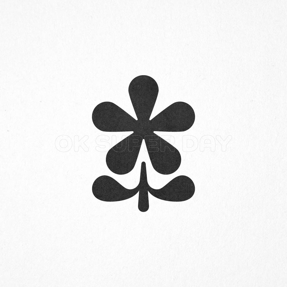 ASTERISK FLOWER