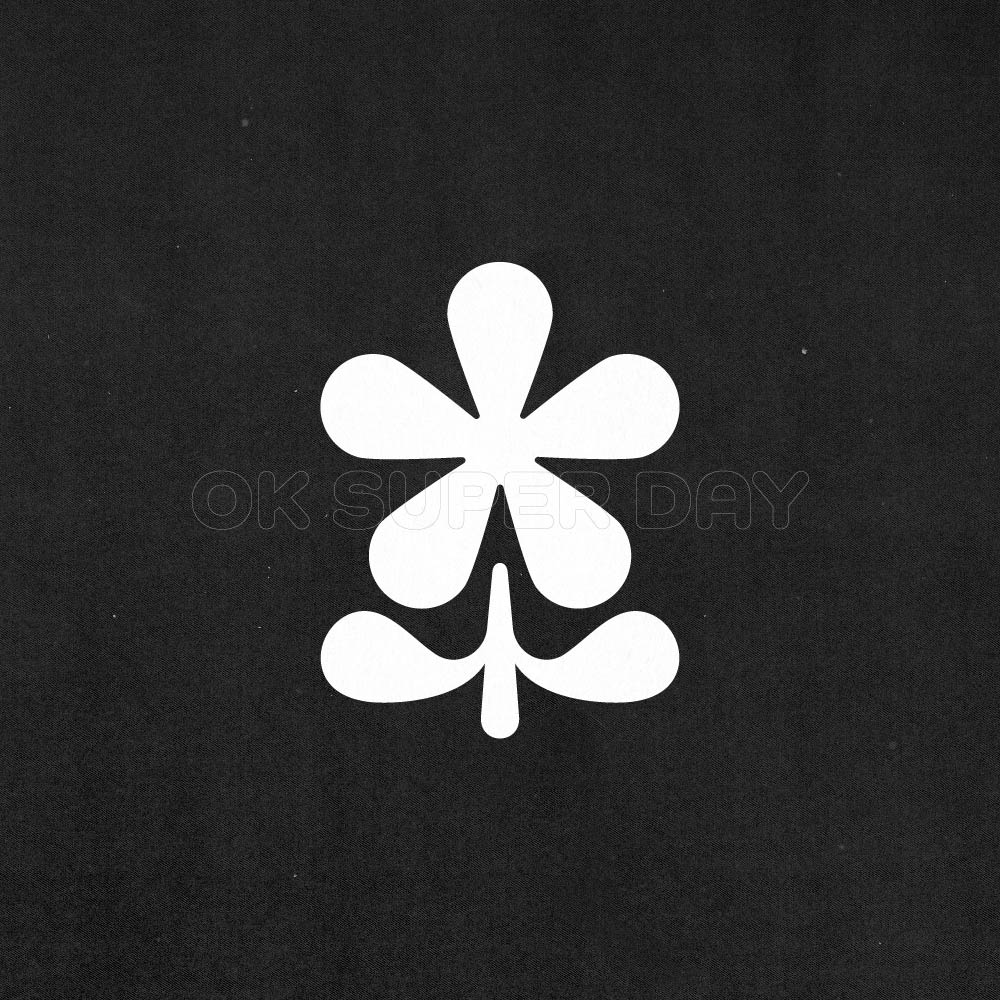 ASTERISK FLOWER